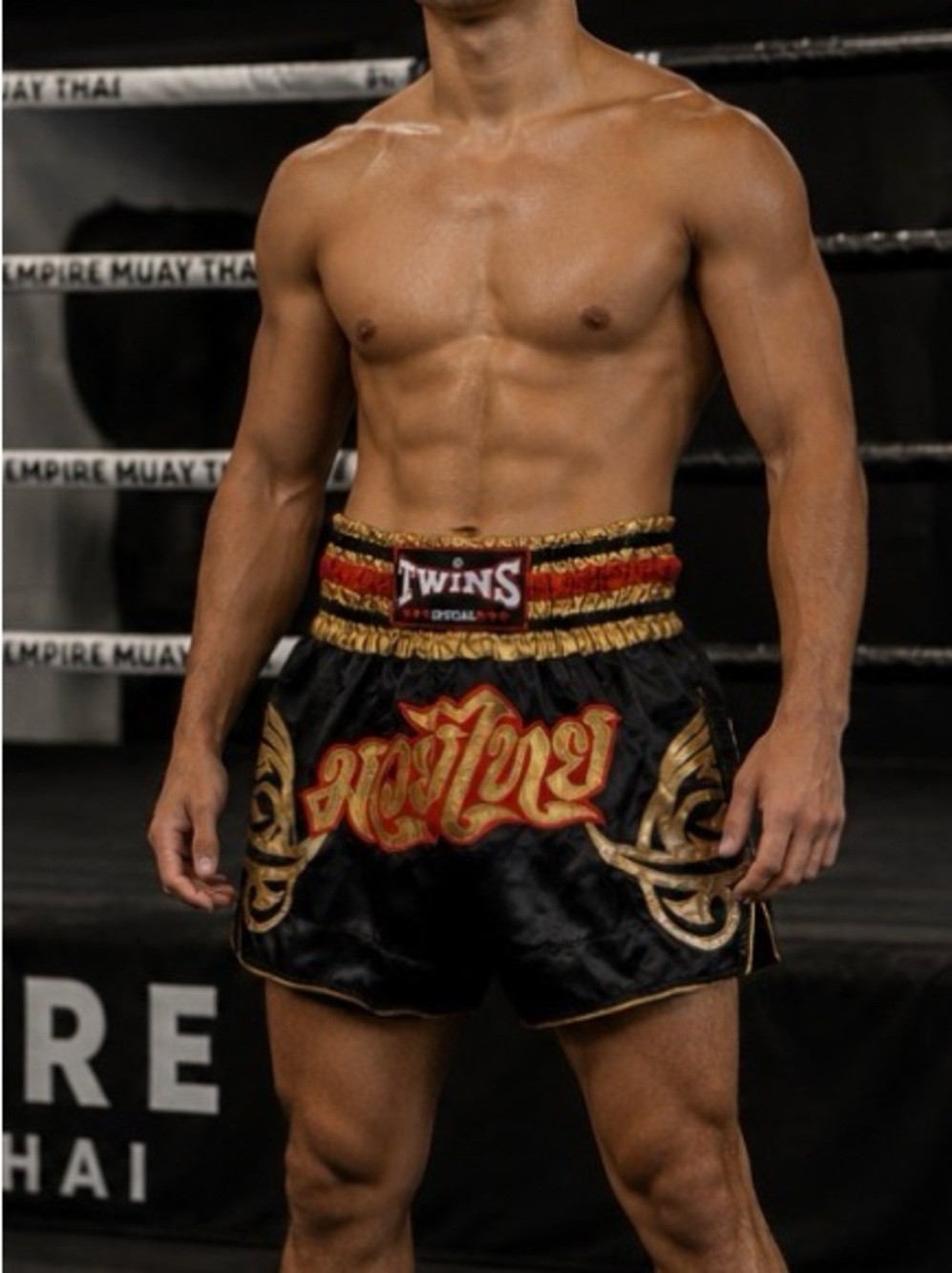 Twins Special Muay Thai Shorts Size XL Martial Arts UFC Boxing Sporty Colorful